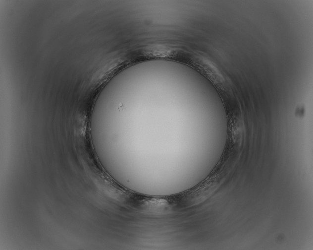 X0000090750374200708031613