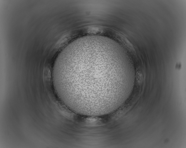 X0000090750375200708031613