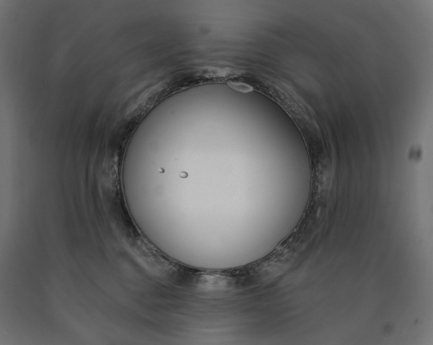 X0000090750376200708031613