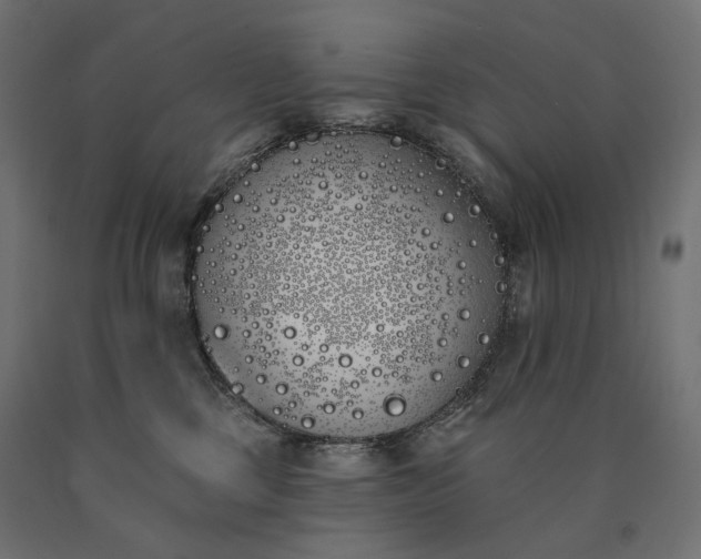 X0000090750377200708031613