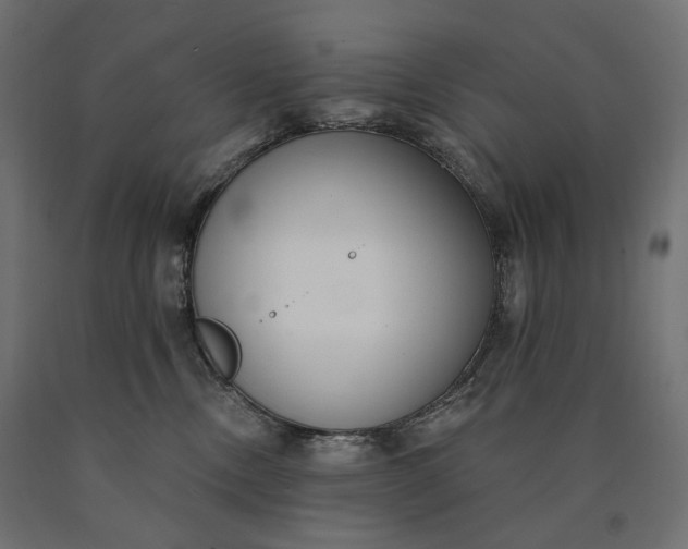 X0000090750378200708031613