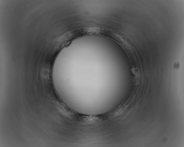 X0000090750379200708031613