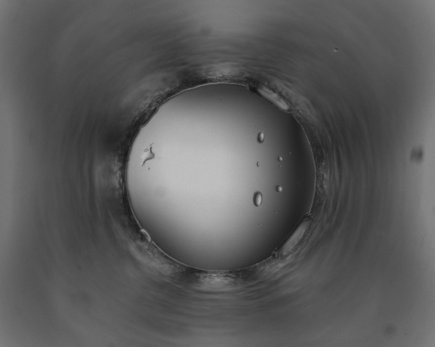 X0000090750380200708031613