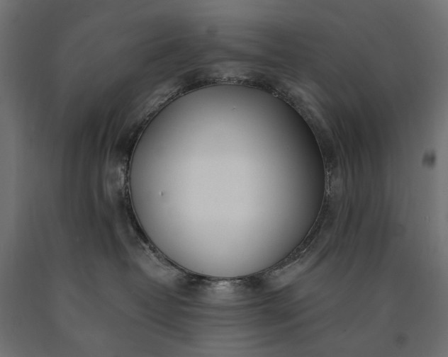 X0000090750382200708031613