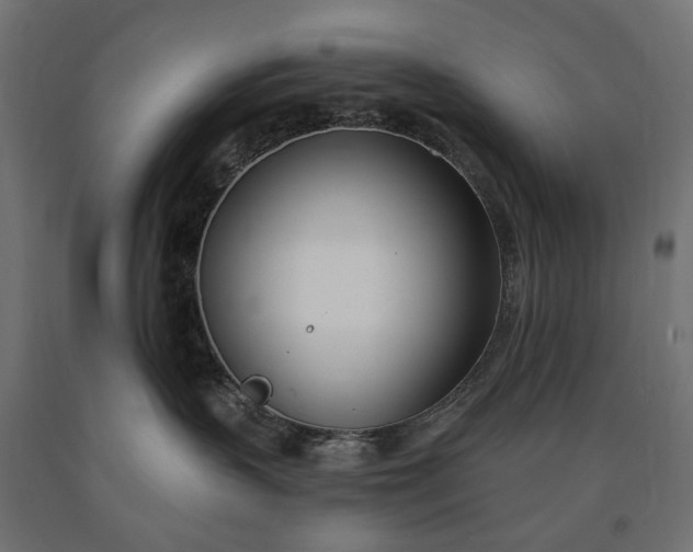 X0000090750383200708031613