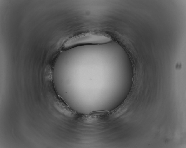 X0000090750384200708031613