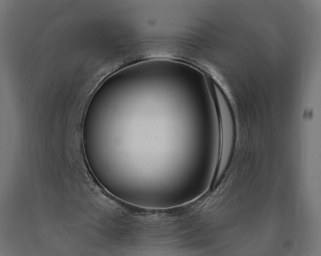 X0000090750385200708031613