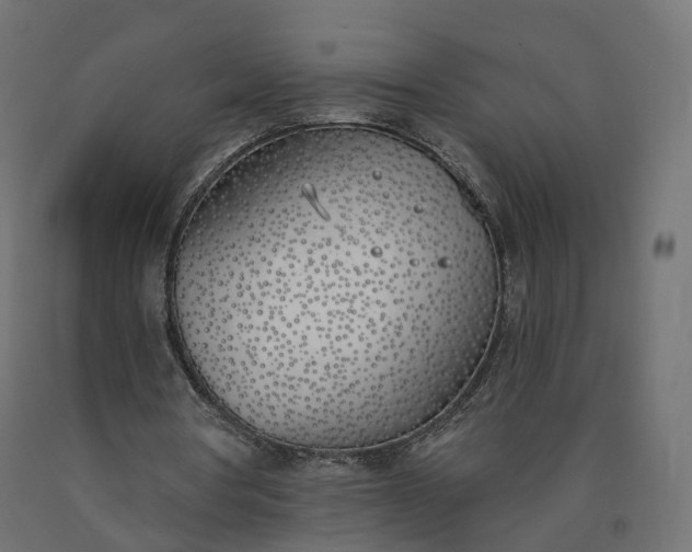 X0000090750386200708031613