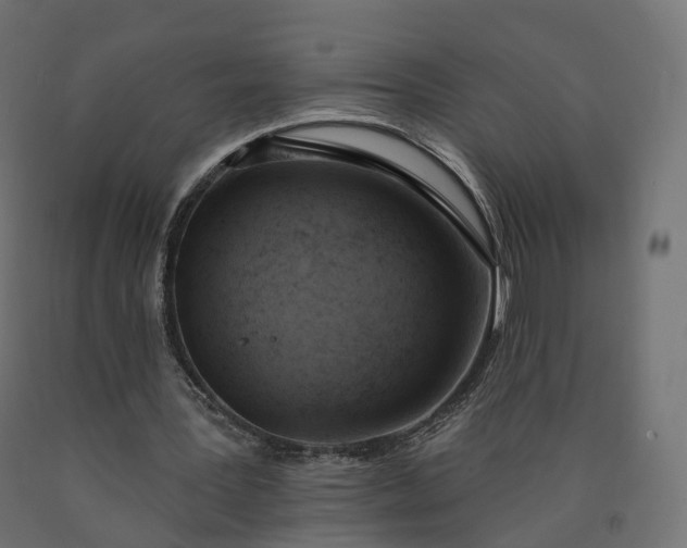 X0000090750387200708031613