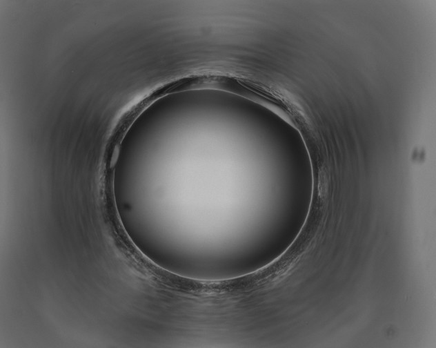 X0000090750388200708031613