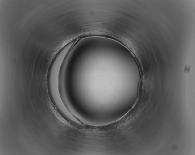 X0000090750389200708031613