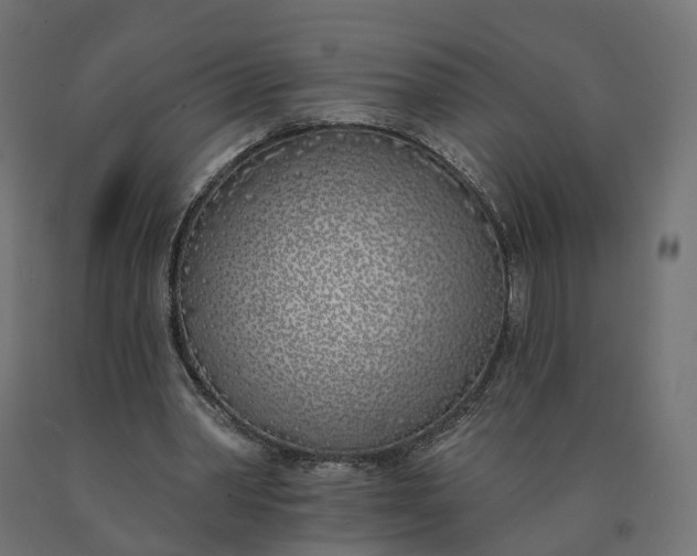 X0000090750390200708031613