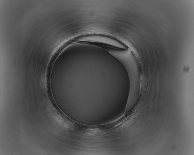 X0000090750391200708031613