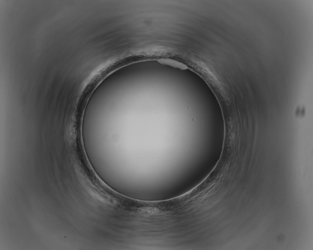 X0000090750392200708031613