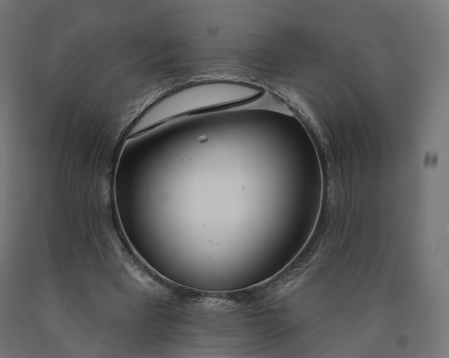 X0000090750393200708031613