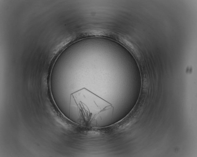 X0000090750394200708031613