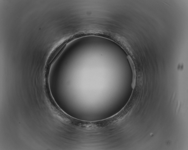 X0000090750395200708031613