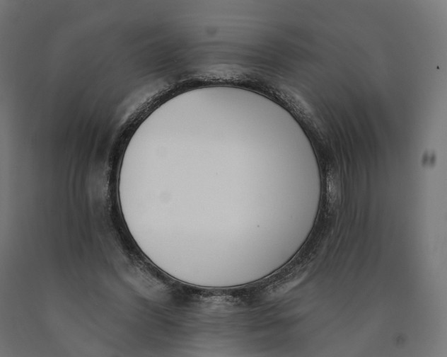 X0000090750396200708031613