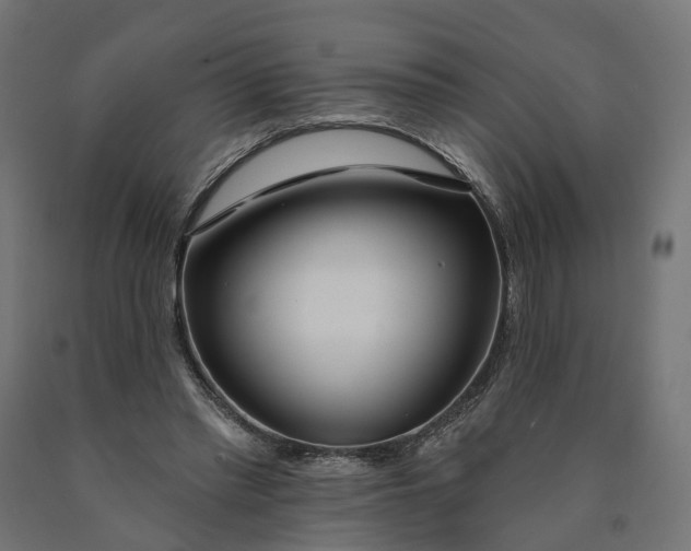 X0000090750397200708031613