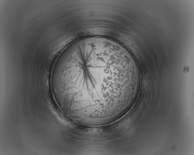 X0000090750398200708031613