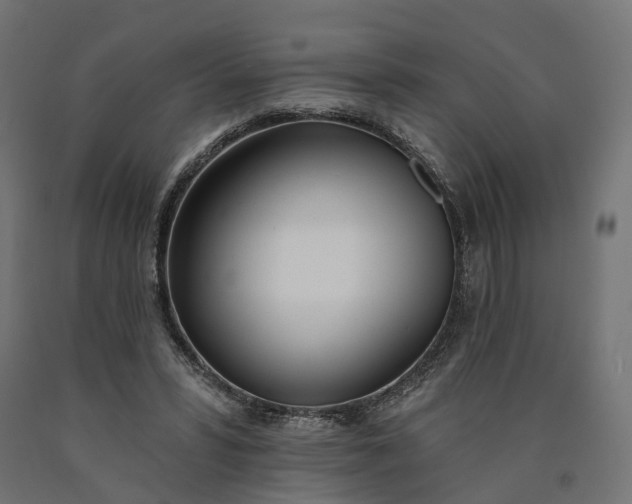 X0000090750399200708031613