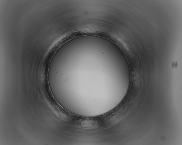 X0000090750400200708031613