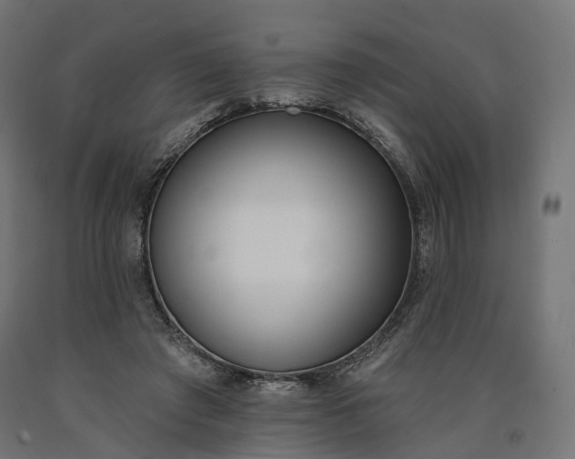 X0000090750401200708031613