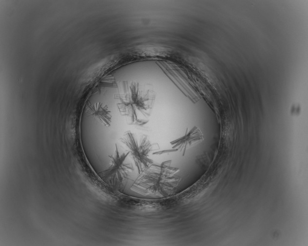 X0000090750402200708031612