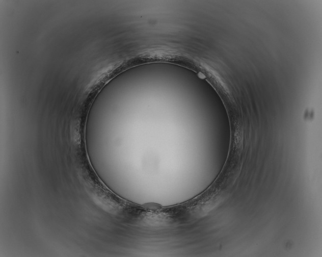 X0000090750403200708031612