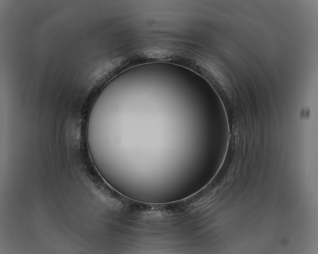 X0000090750404200708031612