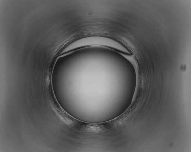 X0000090750405200708031612