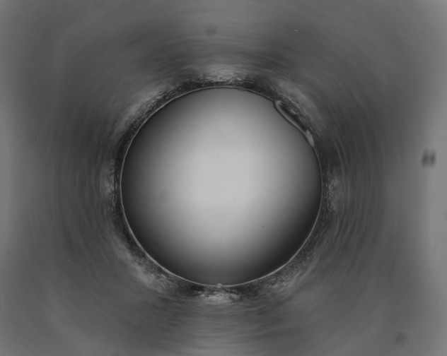 X0000090750407200708031612