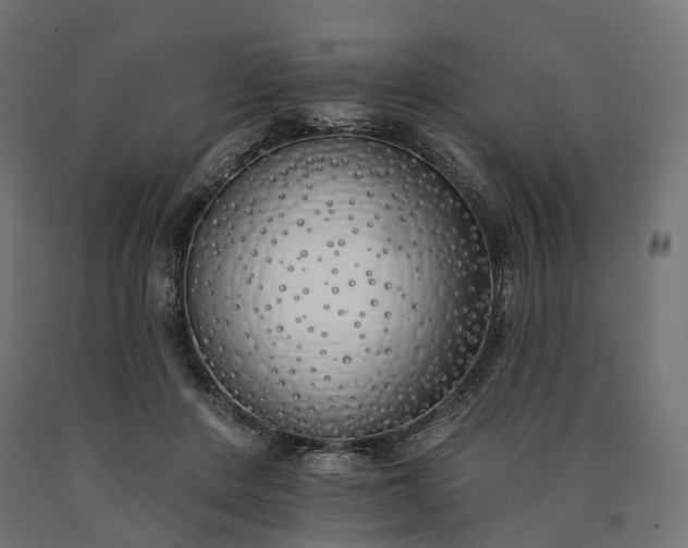 X0000090750408200708031612