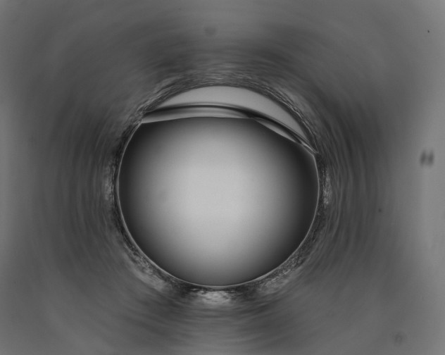 X0000090750409200708031612