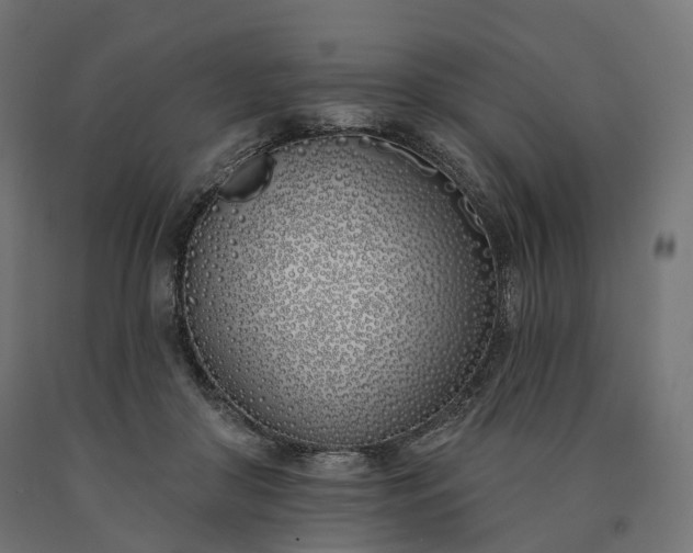 X0000090750410200708031612