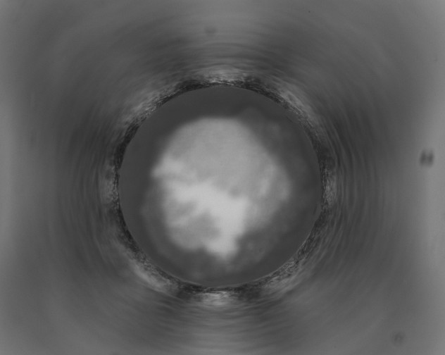 X0000090750411200708031612