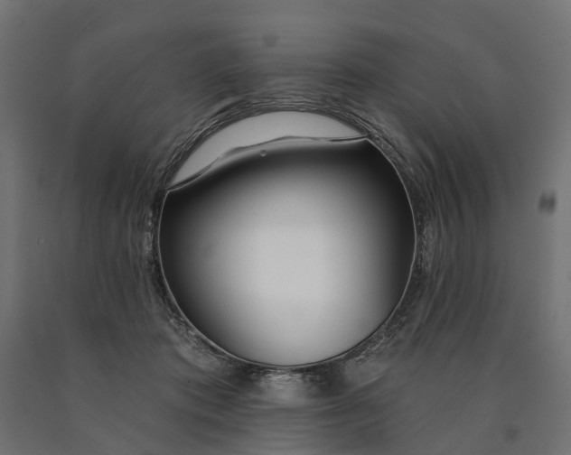 X0000090750413200708031612