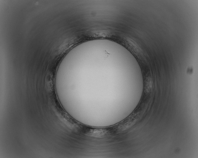 X0000090750414200708031612