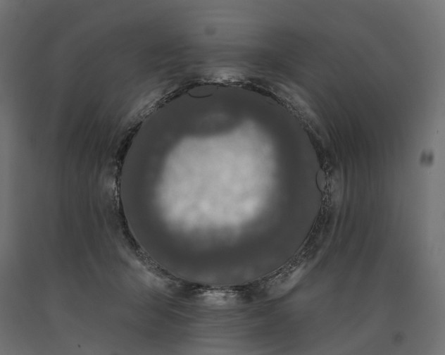 X0000090750415200708031612