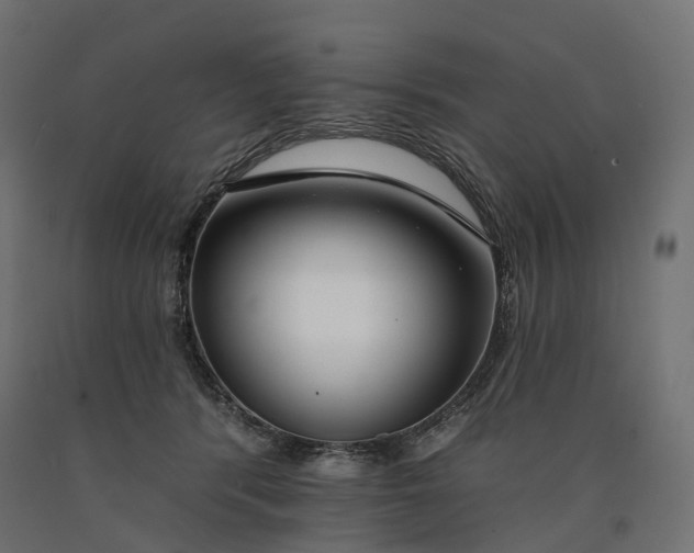 X0000090750416200708031612