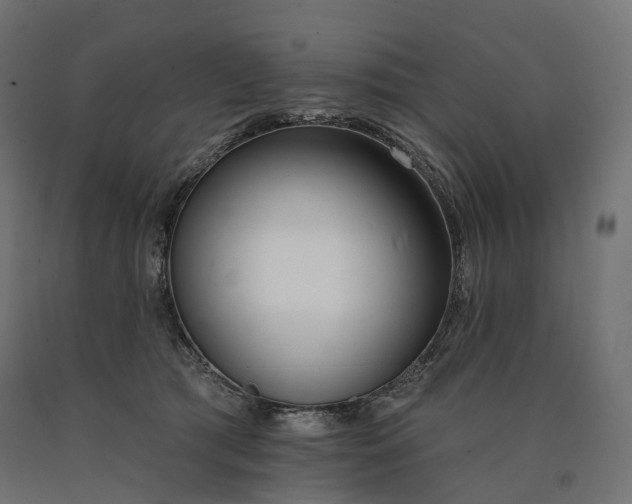 X0000090750417200708031612