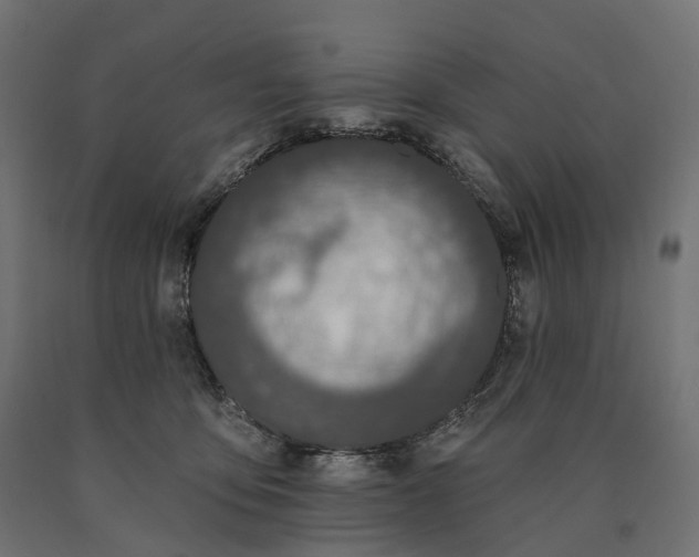 X0000090750419200708031612