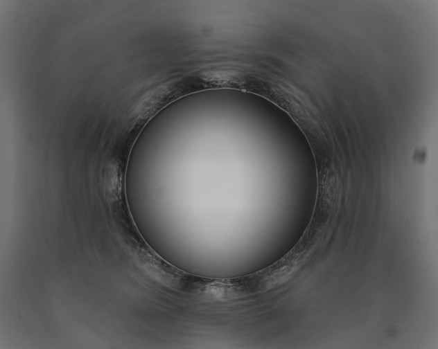 X0000090750420200708031612