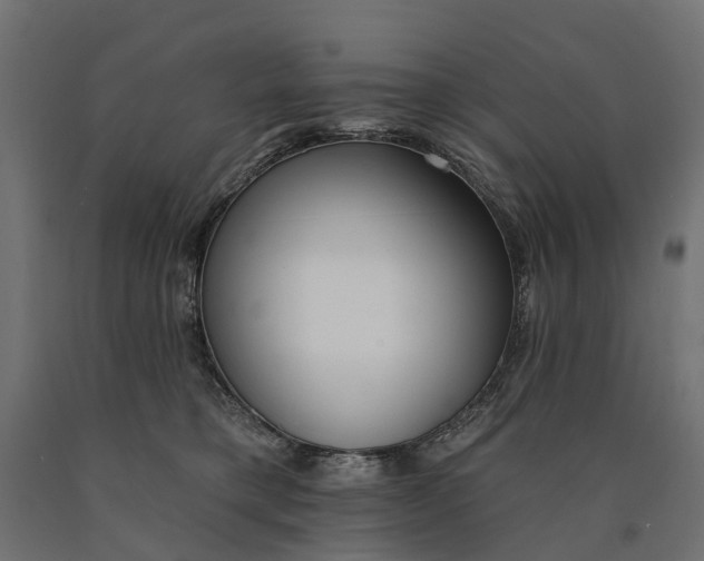 X0000090750421200708031612