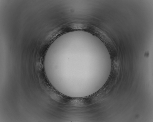 X0000090750422200708031612