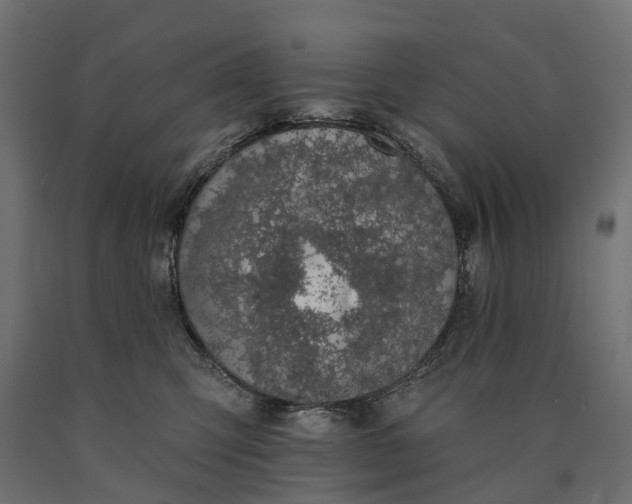 X0000090750423200708031612