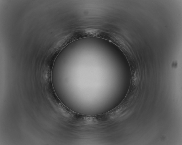 X0000090750424200708031612