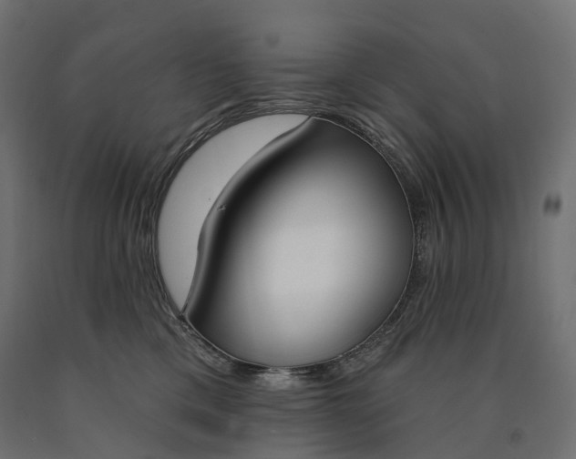 X0000090750425200708031612