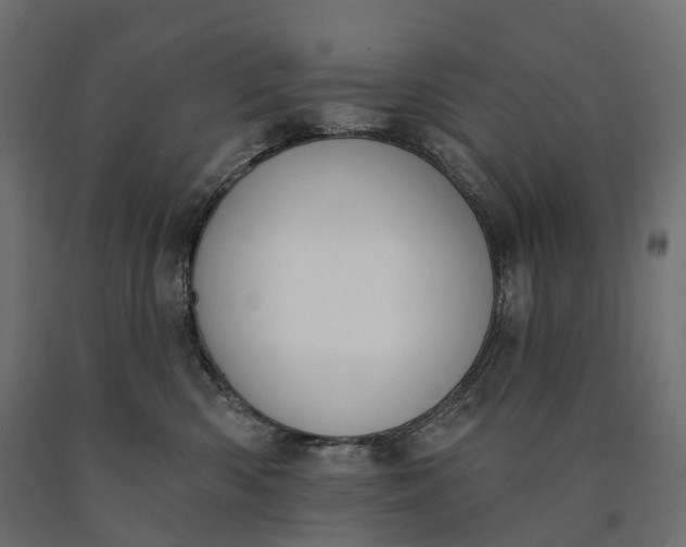 X0000090750426200708031612