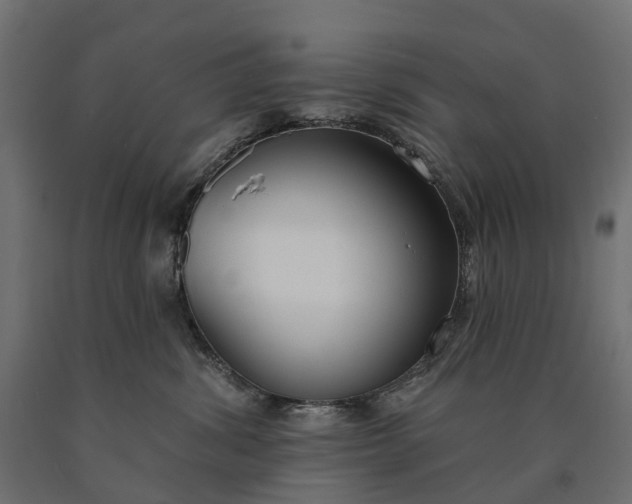 X0000090750428200708031612